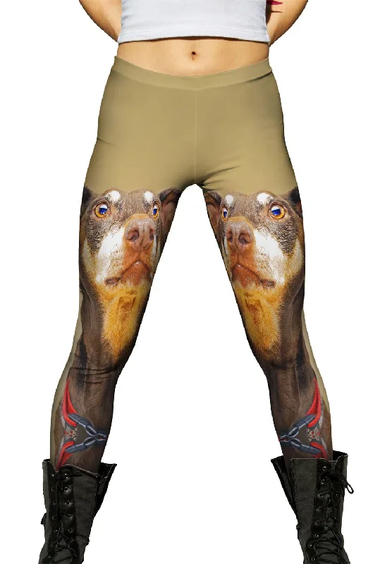 Sports Fashion Is That Bacon Golden Doberman Pinscher