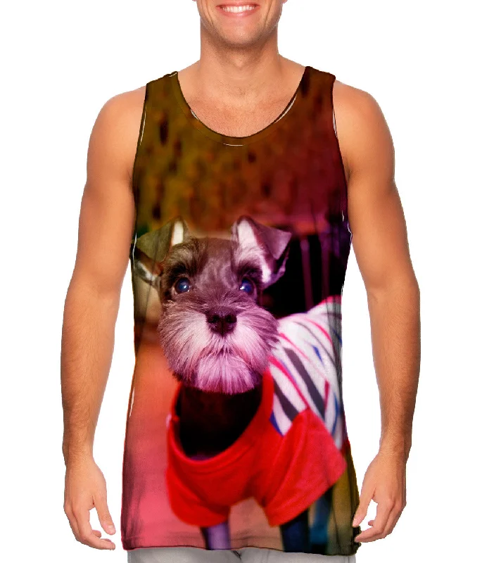 Spiritual Vitality Miniature Schnauzer Sweater