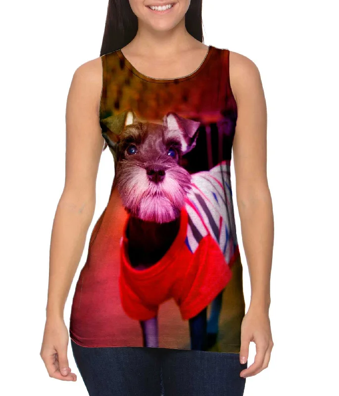 Fashion Style Miniature Schnauzer Sweater